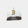 New Era Boston Red Sox 'Cereal' 9FORTY A-Frame Snapback Chrome White/Walnut -Sportswear Women Store 196313140127 default 0010
